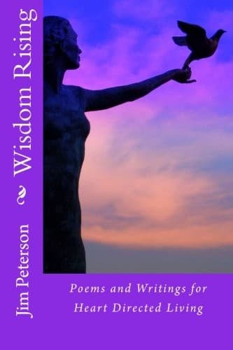 Tapa de Wisdom Rising