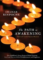 Tapa de The Path To Awakening
