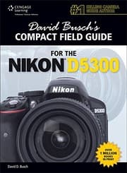 Tapa de David Busch's Compact Field Guide for the Nikon D5300