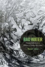 Tapa de Bad Water