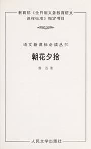 Tapa de Zhao hua xi jie