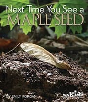 Tapa de Next Time You See a Maple Seed  - PB329X6L