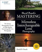 Tapa de David Busch's Mastering Mirrorless Interchangeable Lens Photography