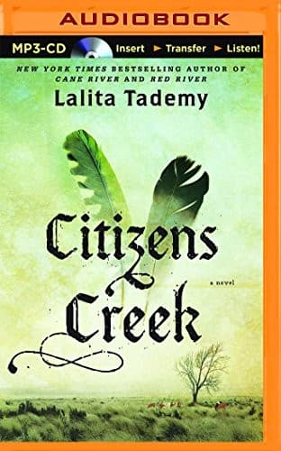 Tapa de Citizens Creek