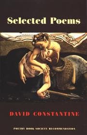 Tapa de Selected Poems