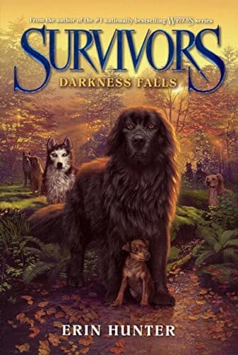 Tapa de Darkness Falls