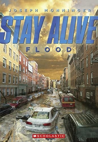 Tapa de Flood