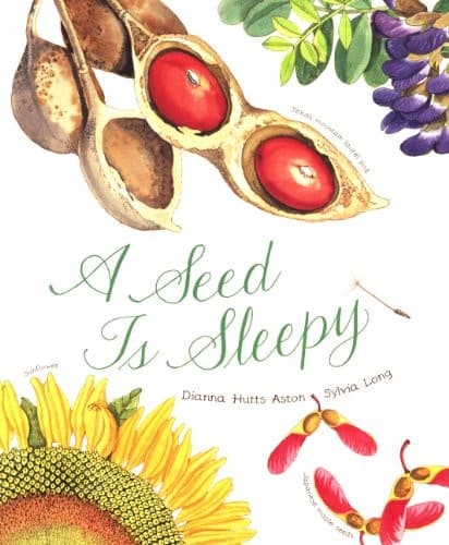 Tapa de A Seed Is Sleepy