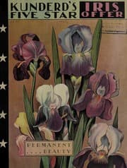 Tapa de Kunderd's five star iris offer
