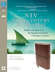 Tapa de NIV, First-Century Study Bible, Leathersoft, Brown