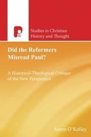 Tapa de Did the Reformers Misread Paul?