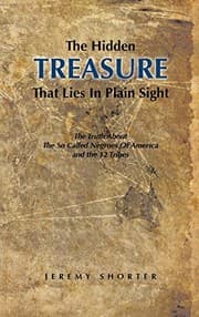 Tapa de The Hidden Treasure That Lies in Plain Sight