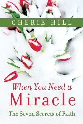 Tapa de When You Need a Miracle