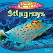 Tapa de Stingrays