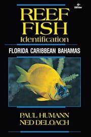 Tapa de Reef Fish Identification - Florida Caribbean Bahamas - 4th Edition