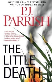 Tapa de The little death