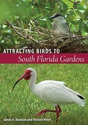 Tapa de Attracting Birds to South Florida Gardens