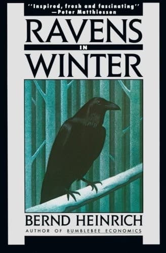Tapa de Ravens In Winter