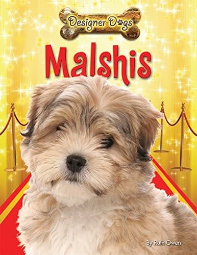 Tapa de Malshis