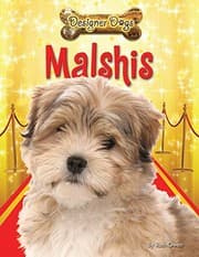 Tapa de Malshis