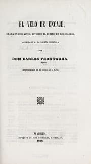 Tapa de El velo de encaje
