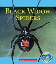 Tapa de Black Widow Spiders