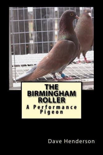 Tapa de The Birmingham Roller
