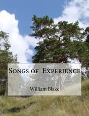 Tapa de Songs of Experience