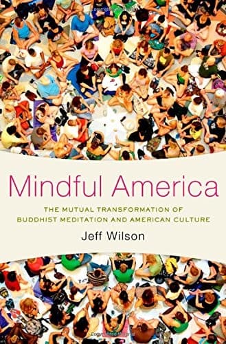 Tapa de Mindful America