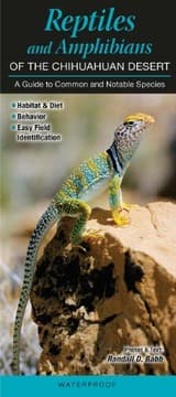 Tapa de Reptiles & Amphibians of the Chihuahuan Desert