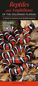 Tapa de Reptiles & Amphibians of the Colorado Plateau