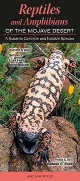 Tapa de Reptiles & Amphibians of the Mojave Desert