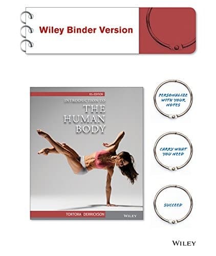 Tapa de Introduction to the Human Body