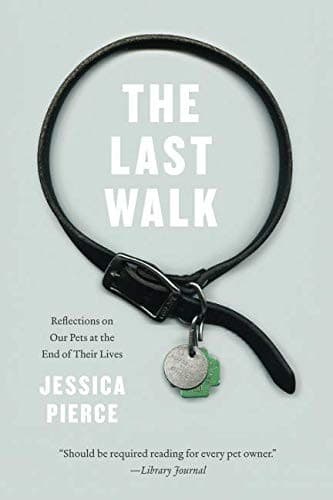 Tapa de The Last Walk