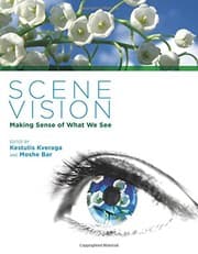 Tapa de Scene Vision