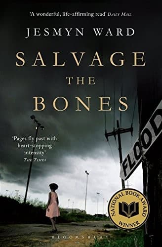 Tapa de Salvage the Bones