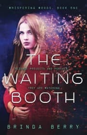 Tapa de The Waiting Booth