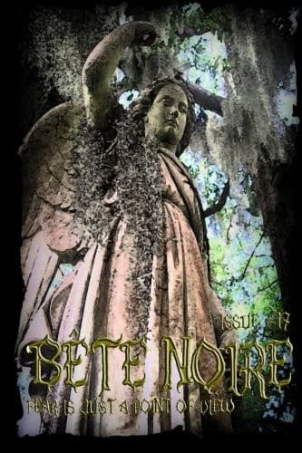 Tapa de Bete Noire Issue #17