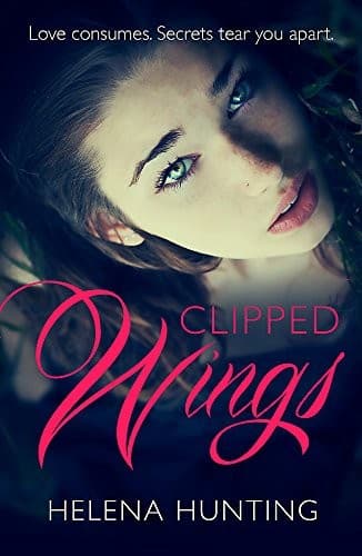 Tapa de Clipped Wings