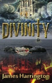 Tapa de Divinity