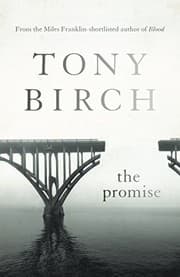 Tapa de The Promise