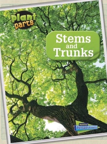 Tapa de Stems and Trunks