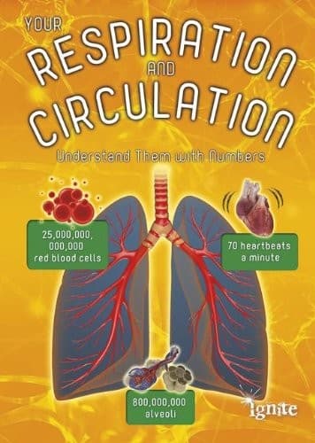 Tapa de Your Respiration and Circulation