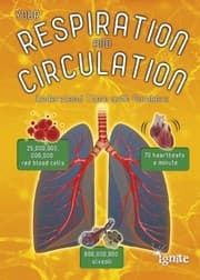 Tapa de Your Respiration and Circulation