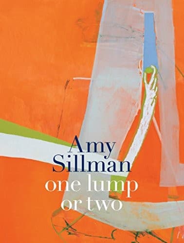 Tapa de Amy Sillman