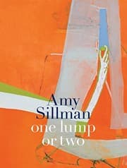 Tapa de Amy Sillman
