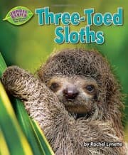 Tapa de Three-Toed Sloths