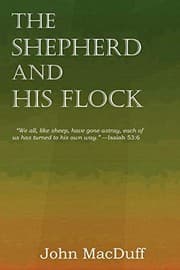 Tapa de The Shepherd and His Flock