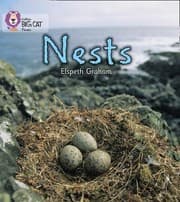 Tapa de Nests