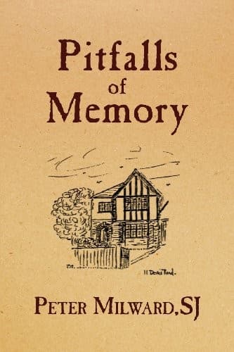Tapa de Pitfalls of Memory